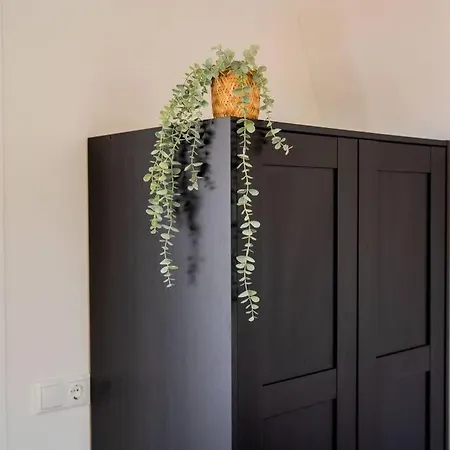 Fancy 70m2 With Terrace - We39f