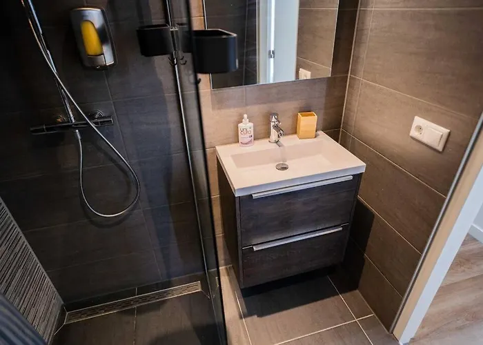 Fancy 70m2 With Terrace - We39f * Tiel